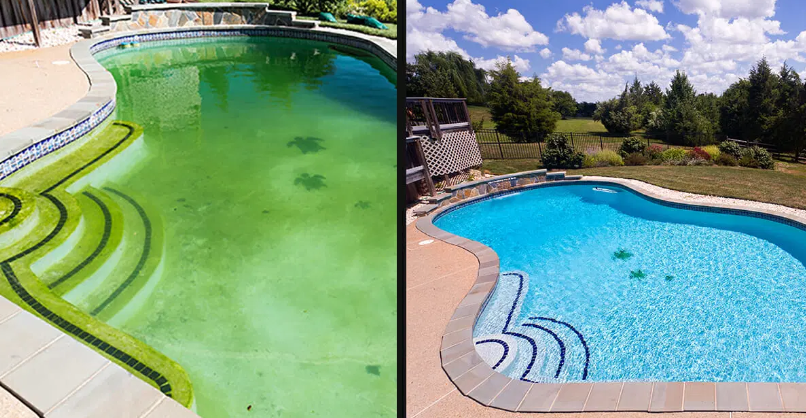 Why Is Your Pool Still Green After Shocking? (And How to Fix It Fast)